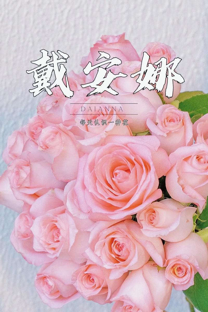 什么花的花语是初恋