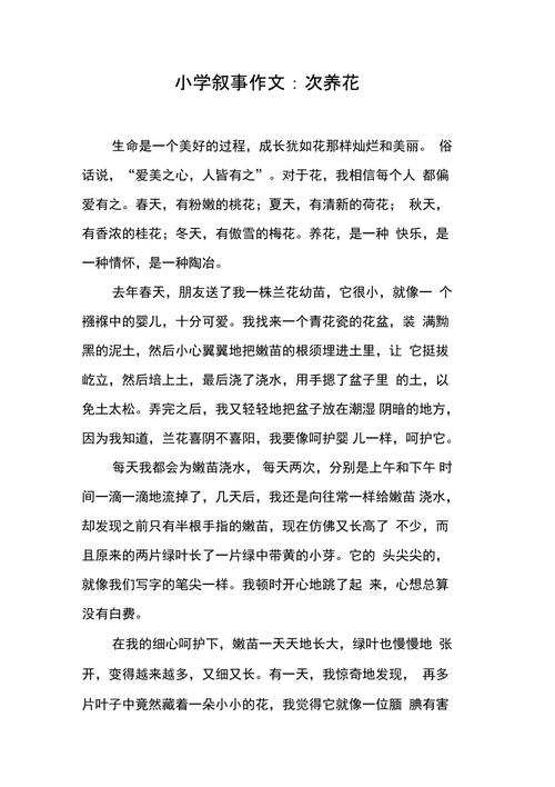养花趣事作文