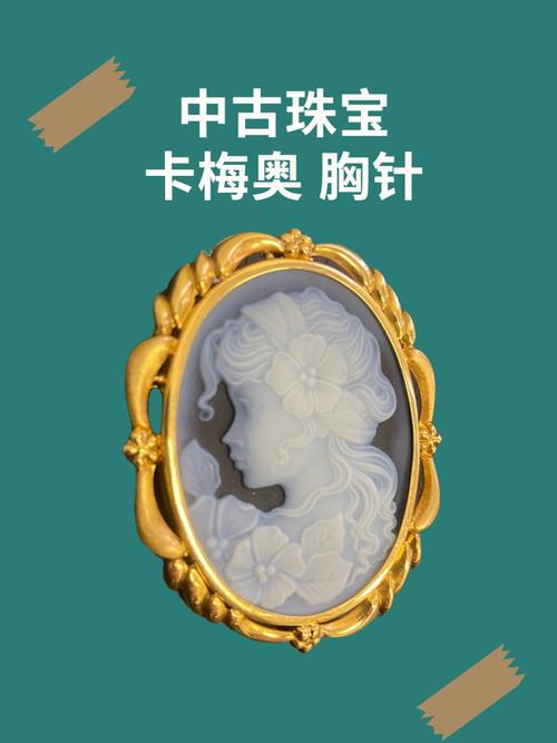 卡梅奥怎么养
