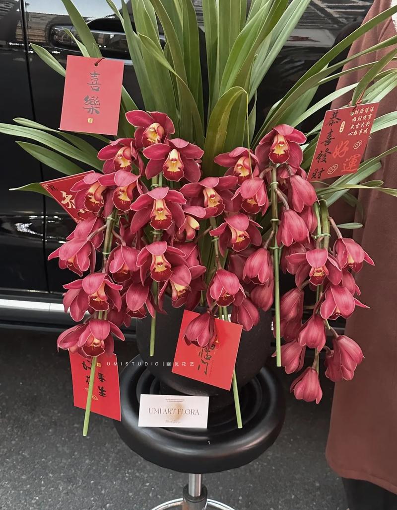 5种“坑人花”,花店谨慎买,不是“老花匠”,养不过半年