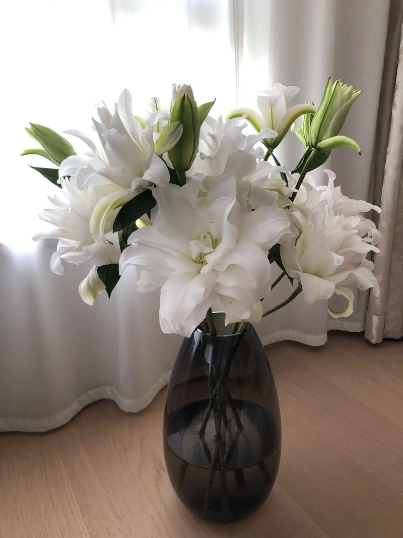 什么花的花语和灵魂伴侣有关的?