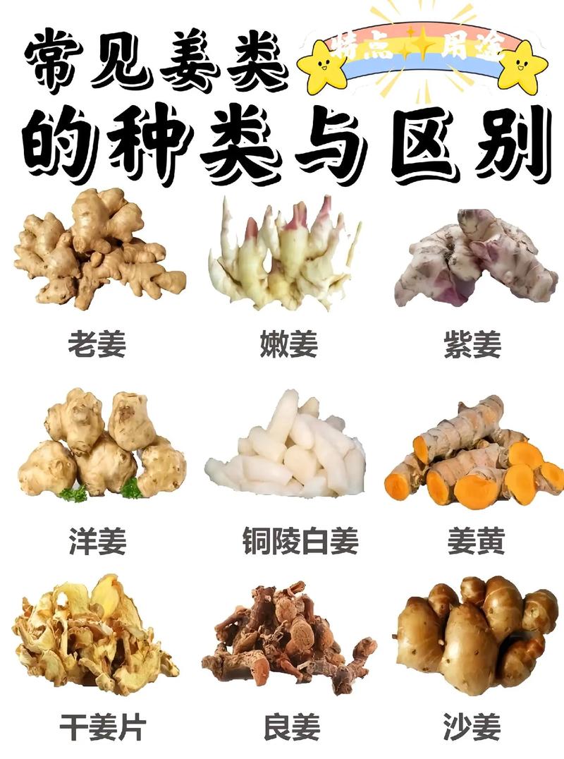 姜花和姜的区别