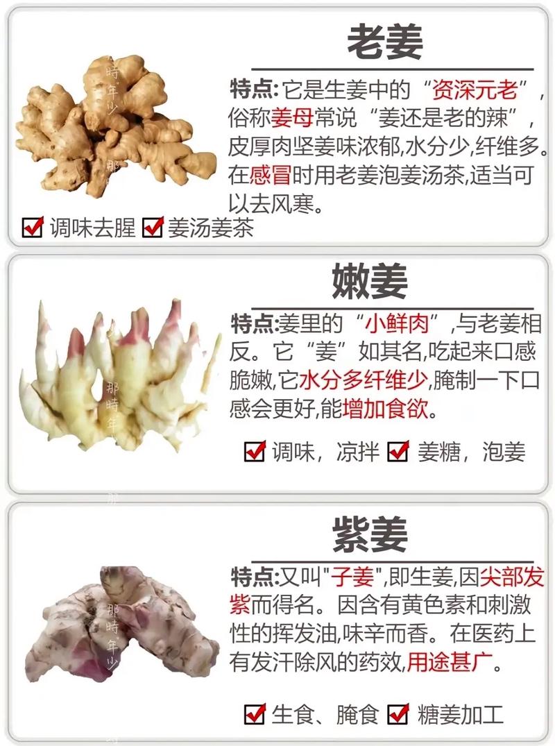姜花和姜的区别是什么