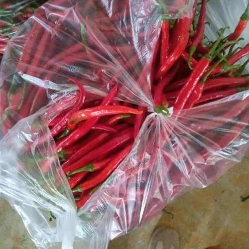 二荆条是什么东西?