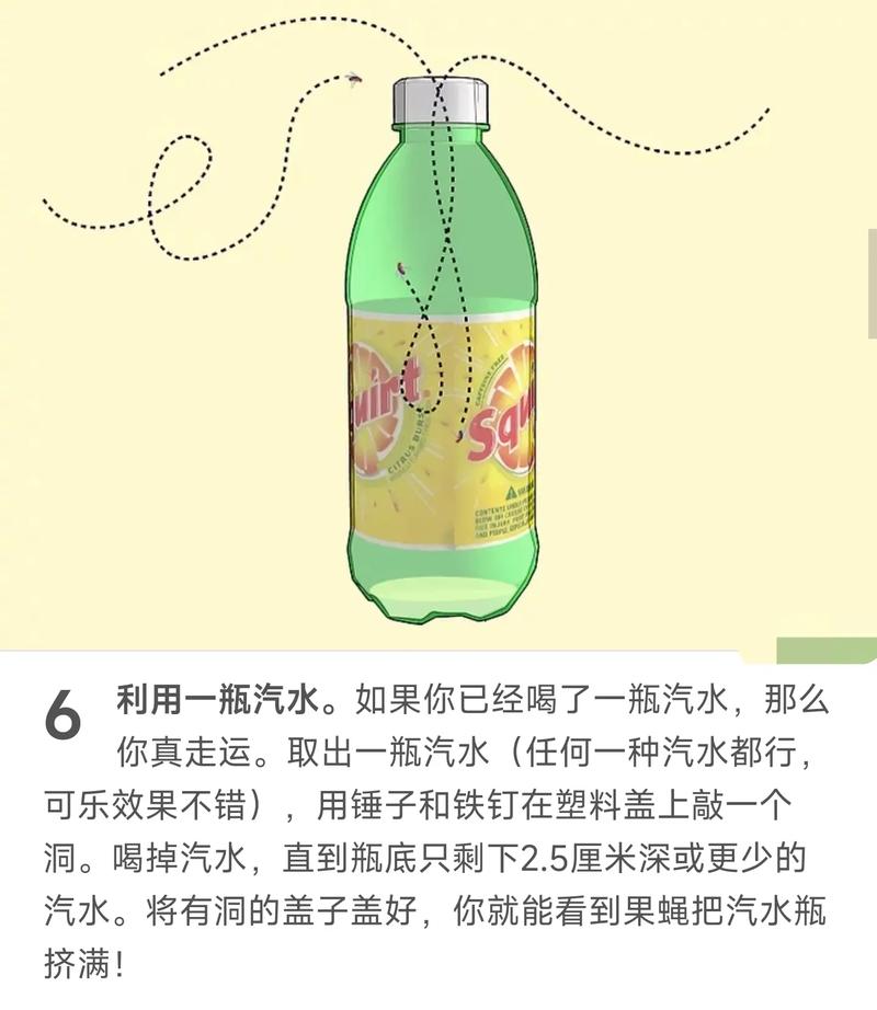 果蝇小飞虫怎么消灭小窍门