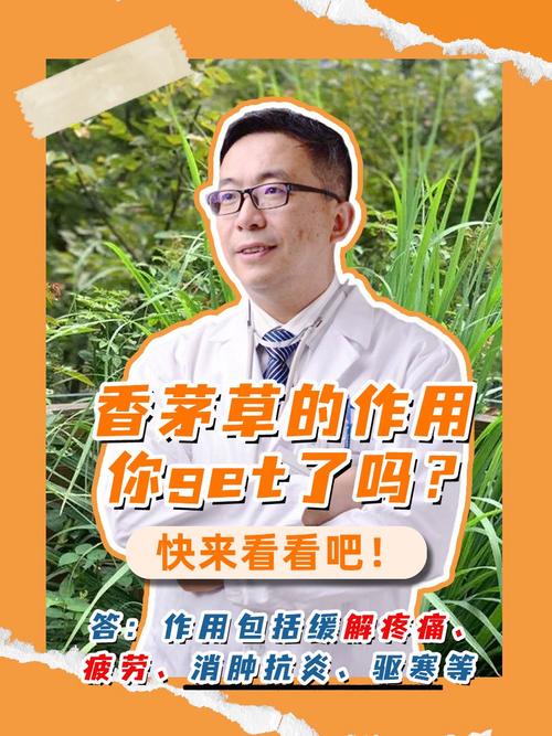 香茅草的作用与特点