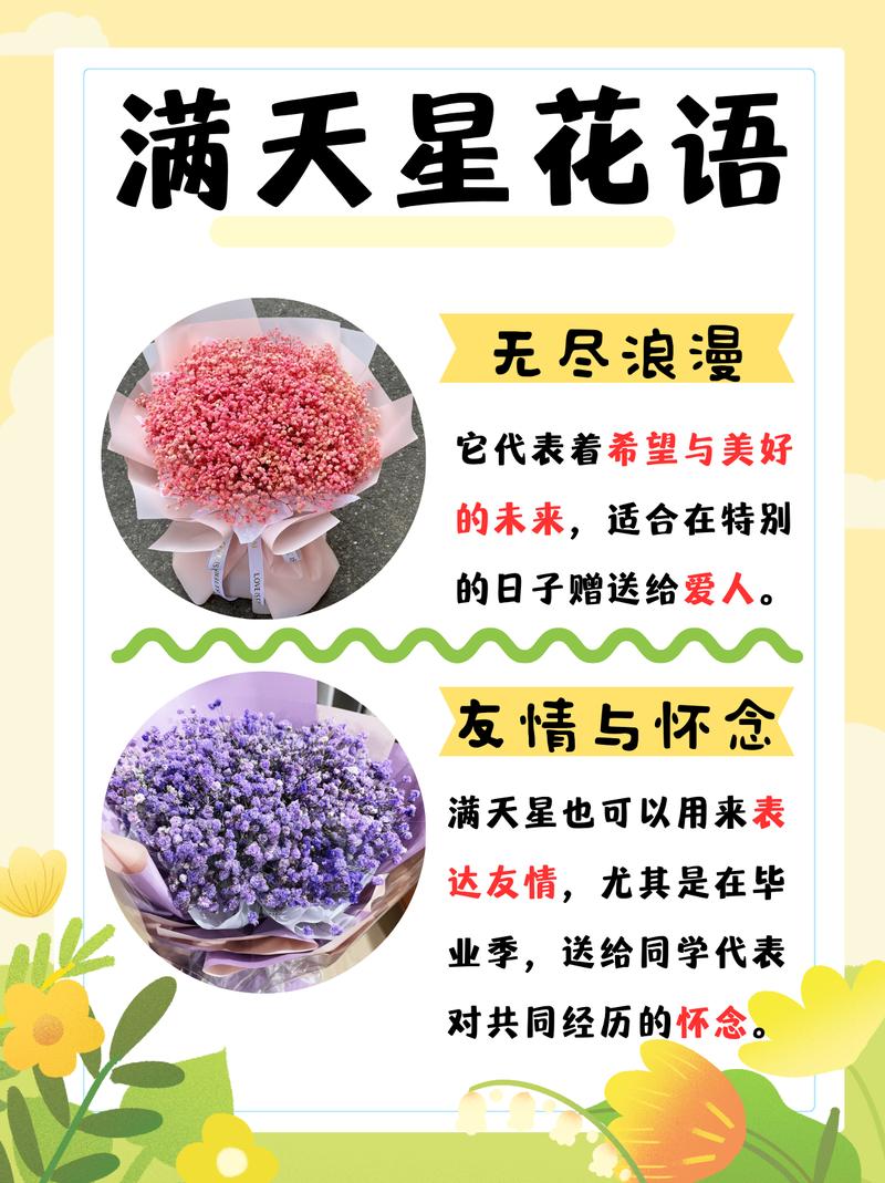满天星为什么不开花?