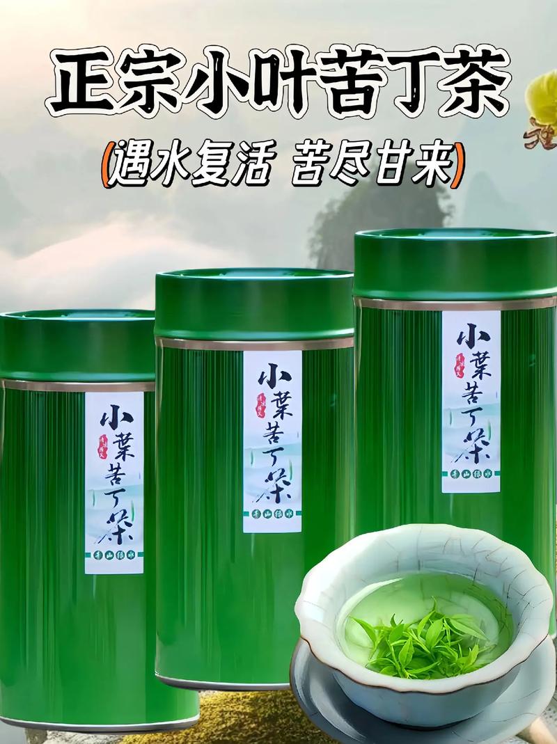 苦丁茶产地比较好是哪里