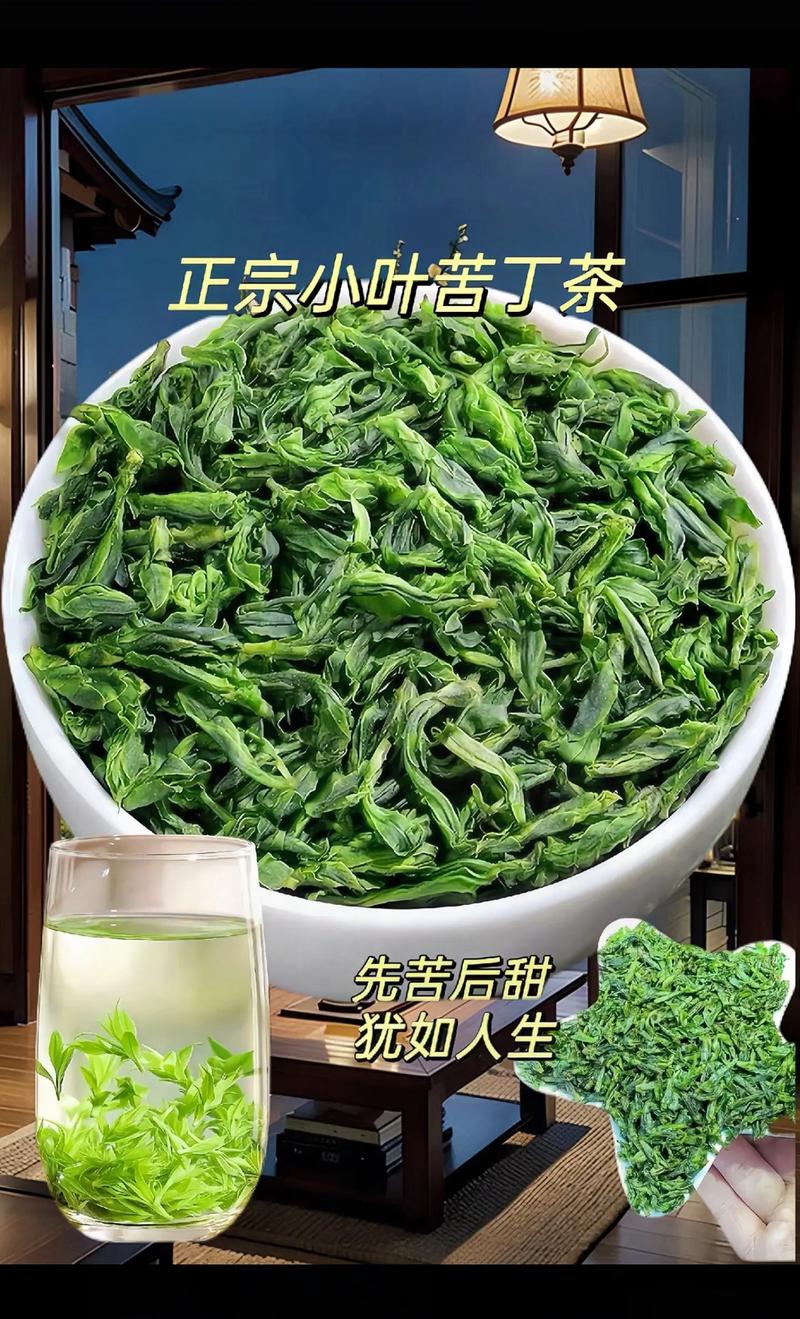 苦丁茶的分类
