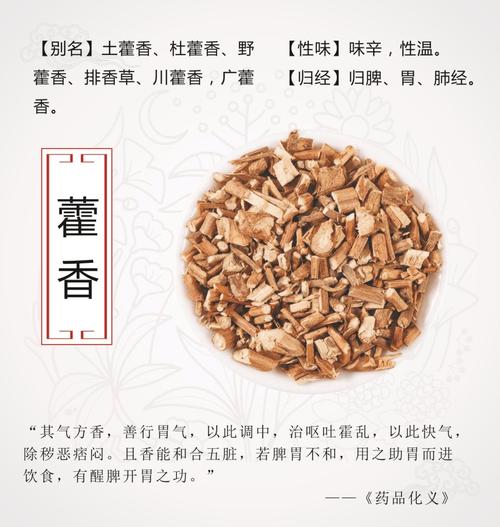 藿香招虫子吗