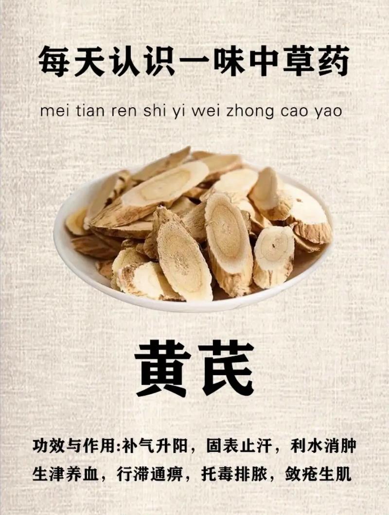 黄芪的功效与作用