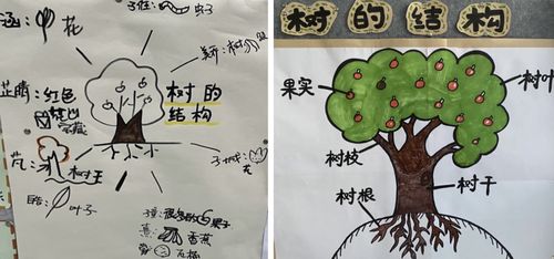 树的整体形态一般由哪些组成