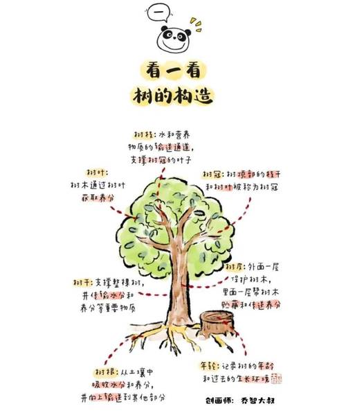 树的整体形态一般由什么组成