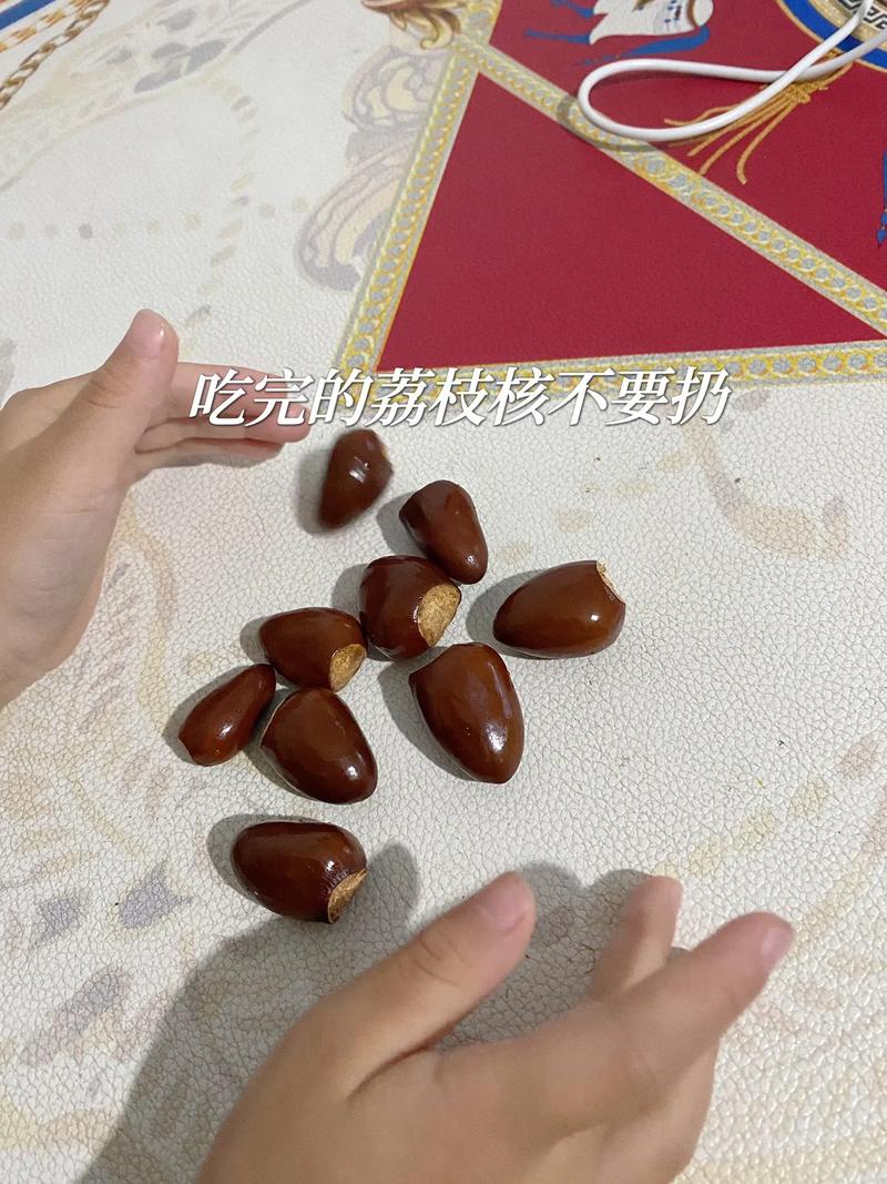 荔枝吃完核别丢,随手扔土里,10天竟然爆盆了!