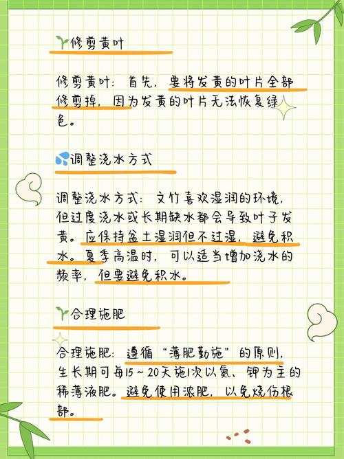 文竹叶子黄了怎么才能让它变绿