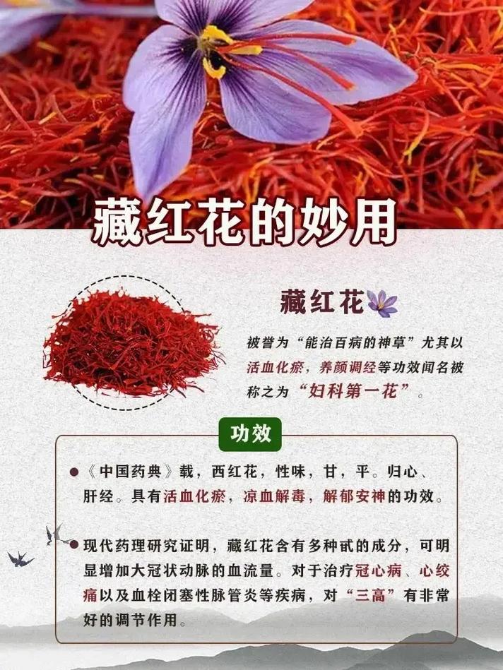 藏红花介绍,藏红花是什么