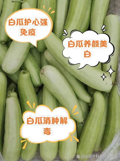 节瓜不仅可以预防疾病还可美白皮肤