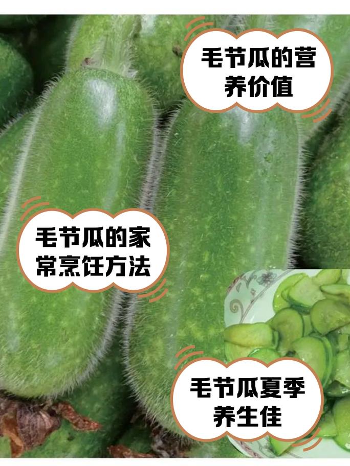 节瓜的功效与作用