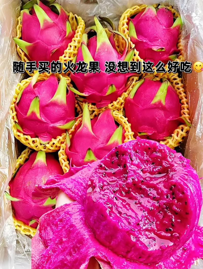 火龙果什么时候吃比较好,火龙果什么季节吃比较好(夏秋两季)