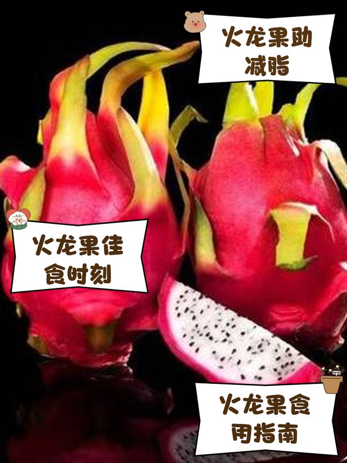 火龙果什么时候吃好