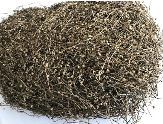 白花蛇舌草传说故事