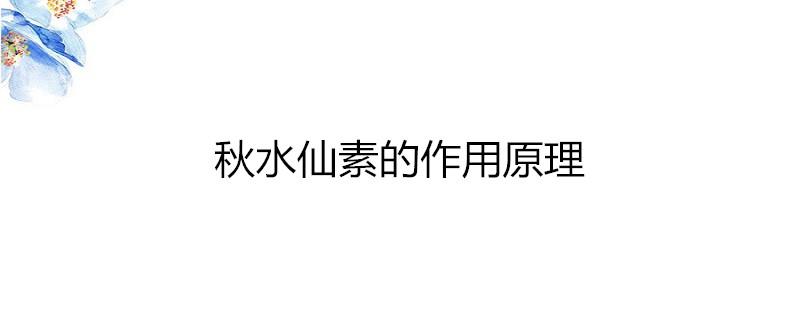 秋水仙素的作用机理