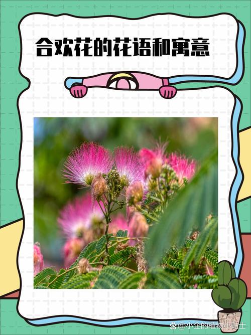 夜合花象征什么?