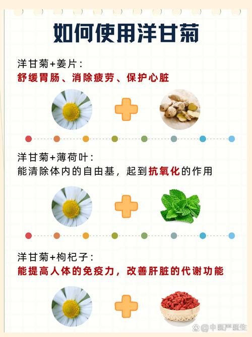 非洲菊的应用价值