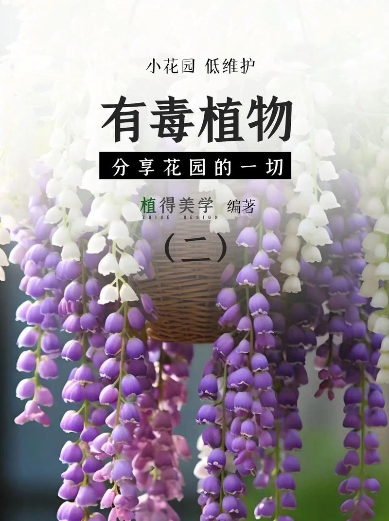 什么植物花有毒