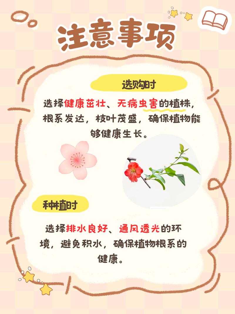 木瓜海棠和贴梗海棠的区别