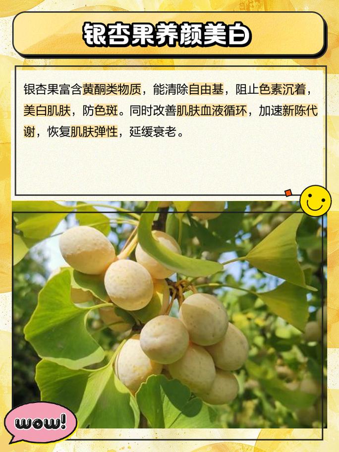 银杏树果实能吃吗?怎样吃法