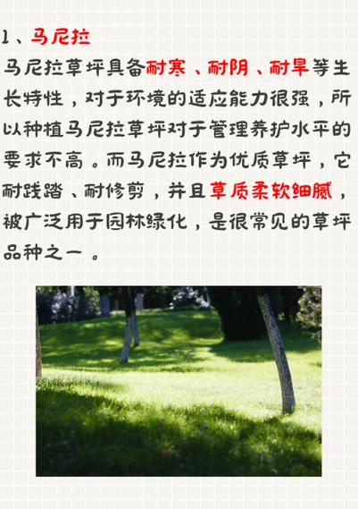 哪些草坪种子适合江苏种植