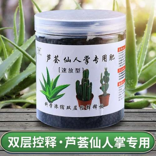 仙人掌用什么肥料比较好