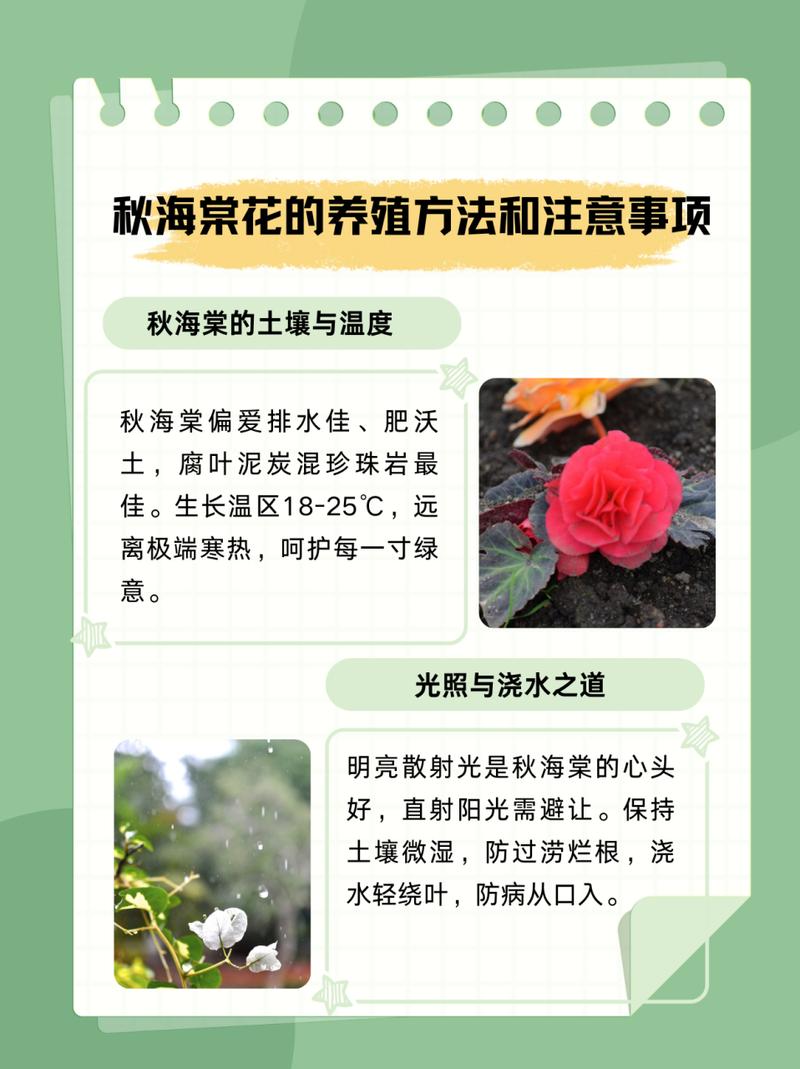 海棠种植方法和注意事项