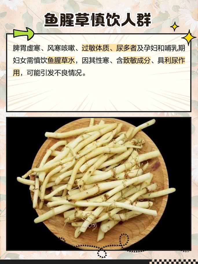 鱼腥草的功效与作用禁忌