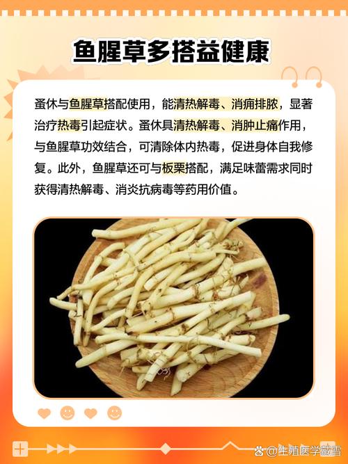 鱼腥草的功效与禁忌