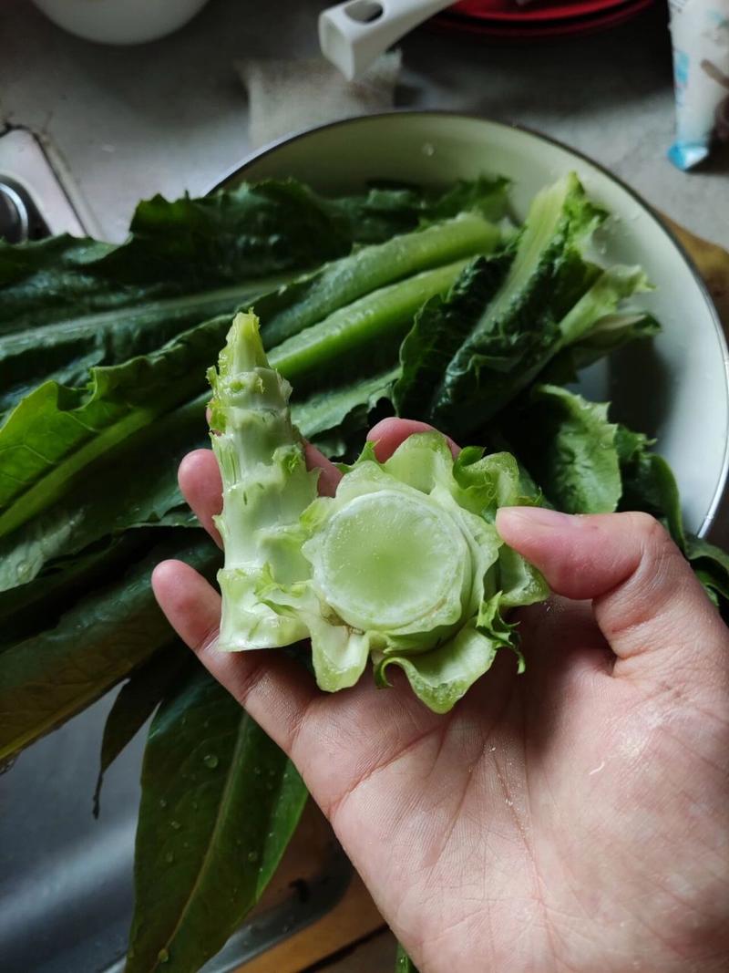 油麦菜是发物吗
