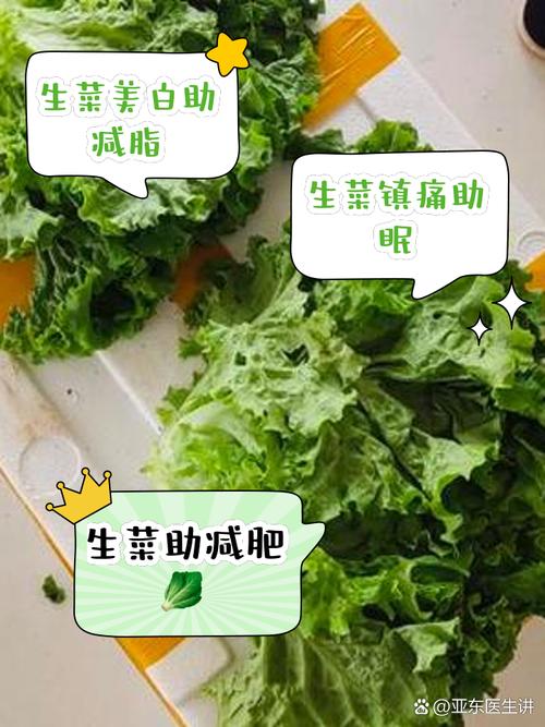 生菜是发物吗生菜有什么营养
