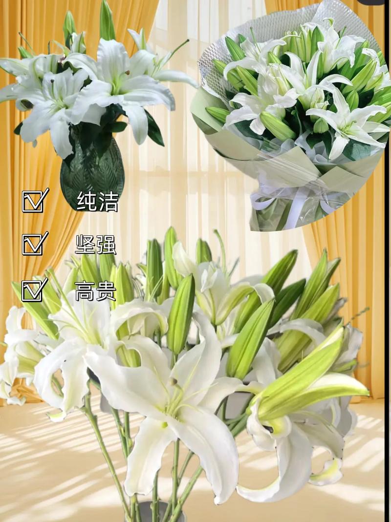 送人百合花代表什么意思?