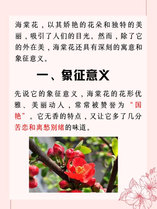 海棠花比较好品种排名