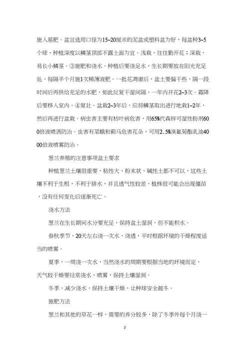 葱兰的养殖方法和注意事项