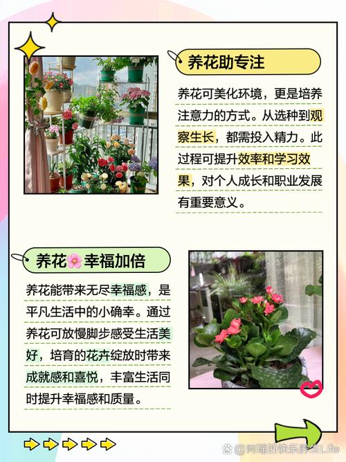 养花有什么好处