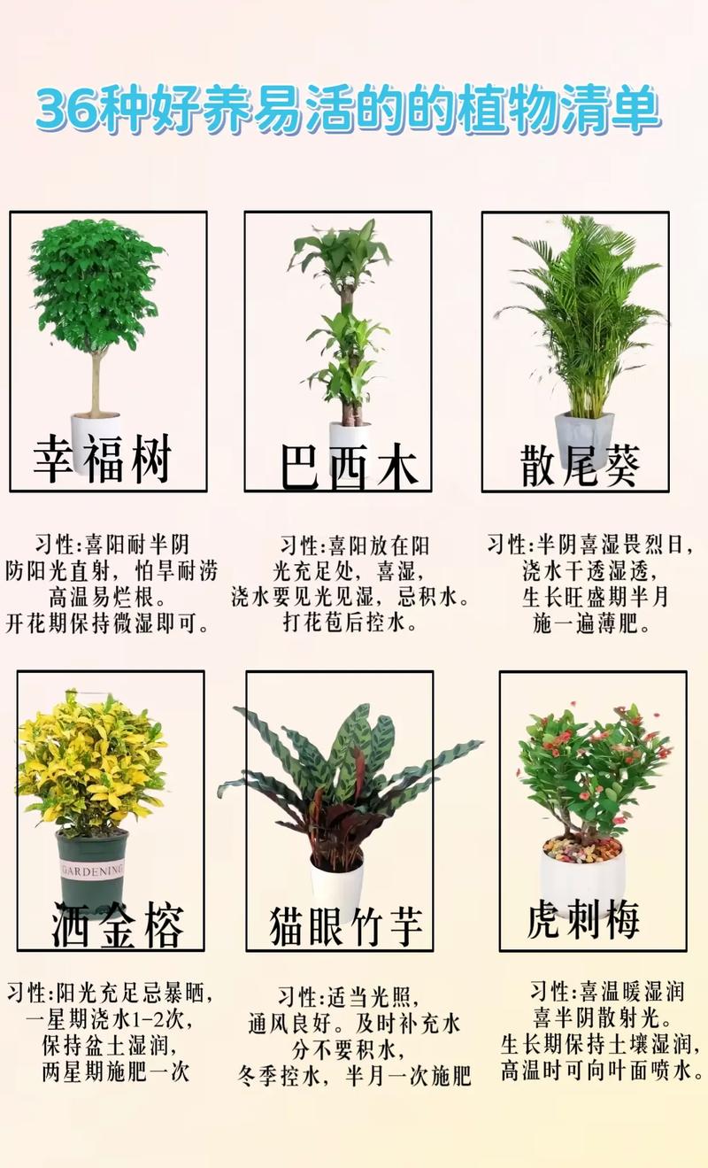 养花对人有什么好处