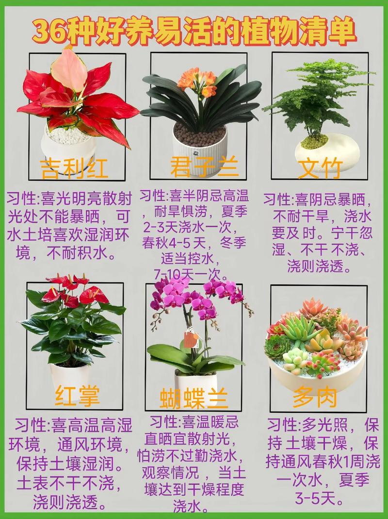 养花能让人有什么好处
