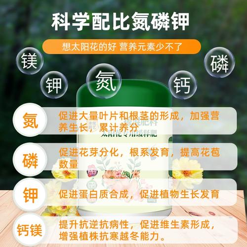 太阳花多久施一次肥(用什么肥料长得快)