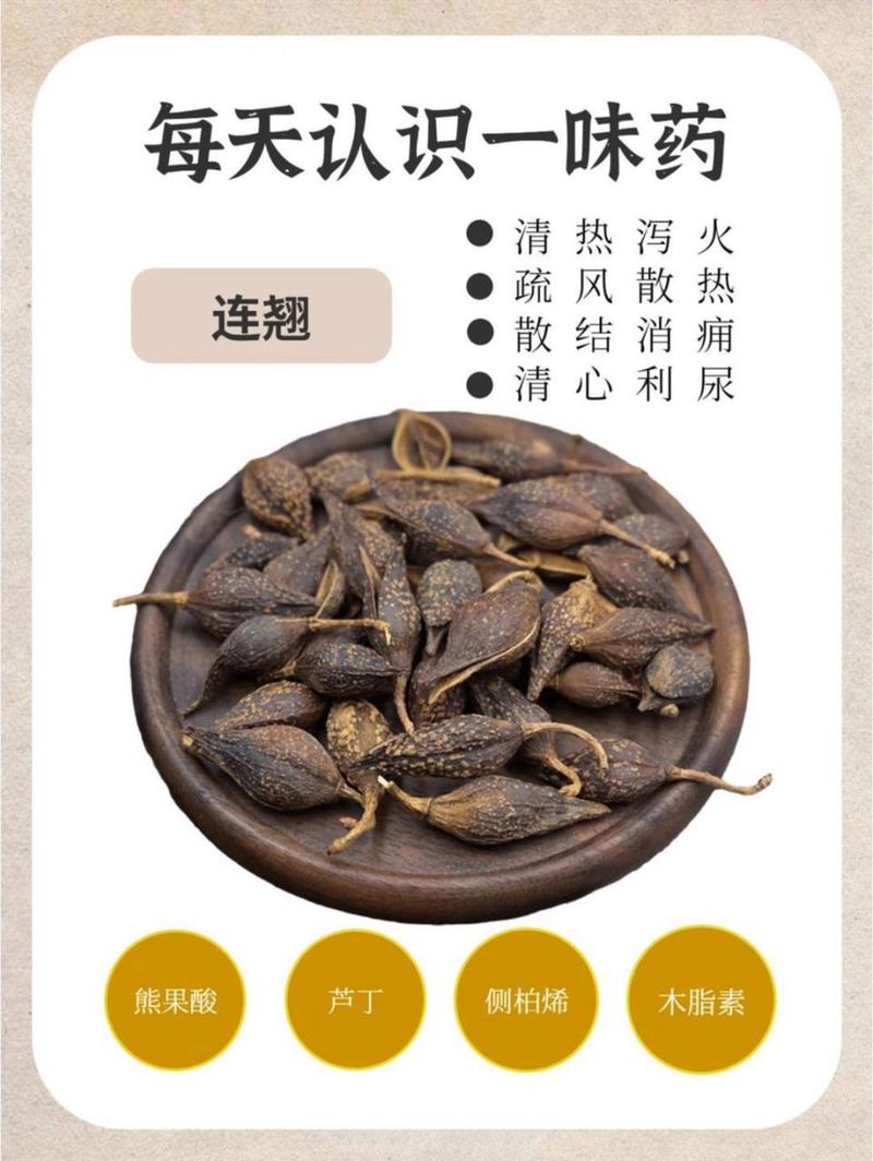 连翘的作用是什么?