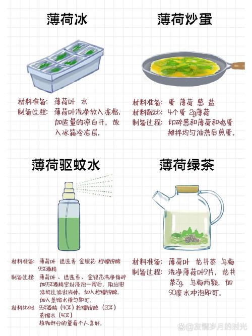 薄荷怎么养?