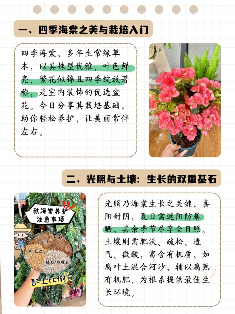 大叶海棠花的养殖方法?