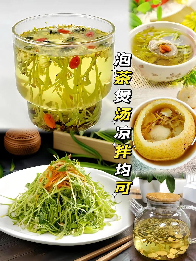 金银花苗多少钱一棵,金银花苗费用