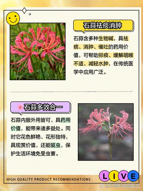 石蒜有病虫害防治更有效!